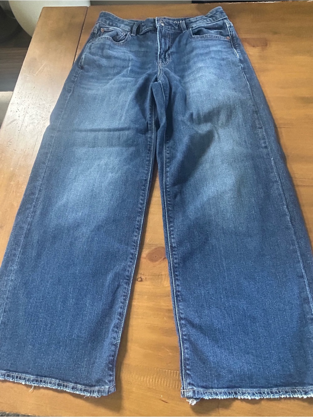 AE Low Rise Baggy Wide Leg Jeans
